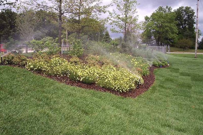 Irrigation By Royal Lawn & Landscape