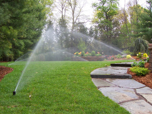 lawn4