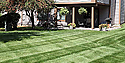 Lawn Maintenance From Royal Lawn & Landscape