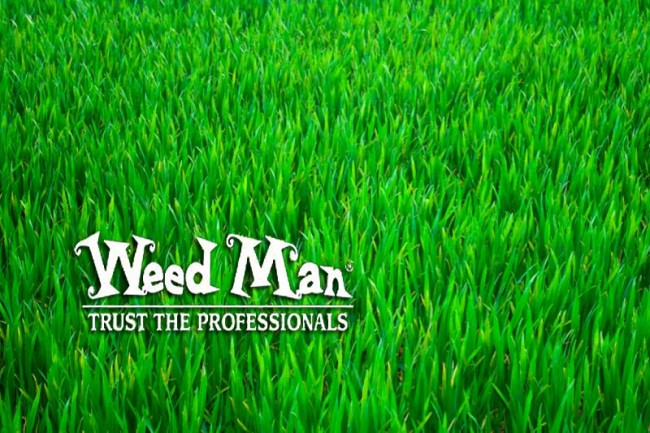 Weed Man From Royal Lawn & Landscape